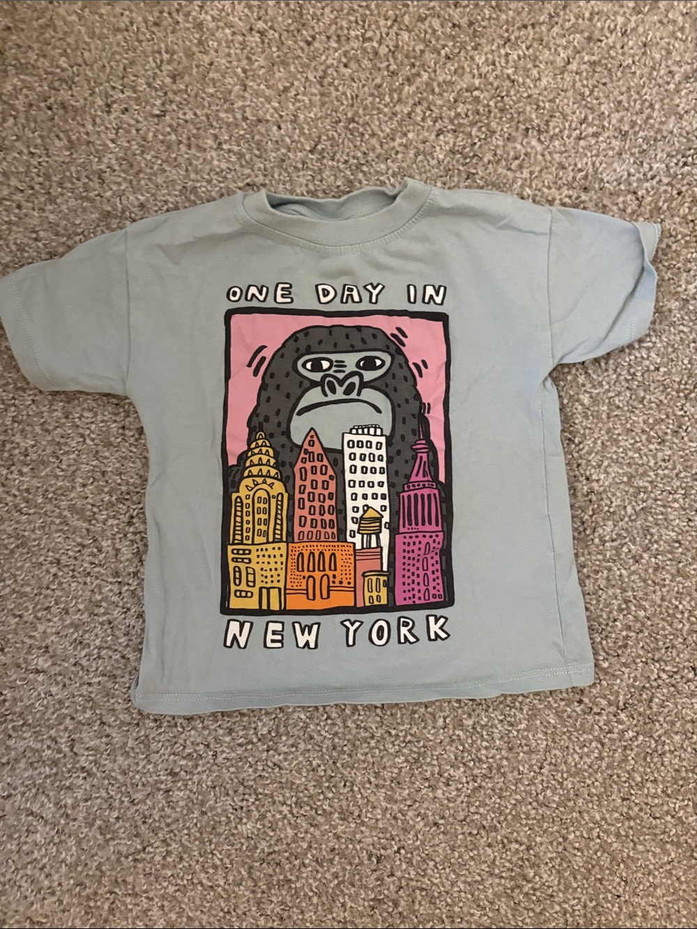 Zara Light Blue 'One Day in New York' Kids Graphic Tee